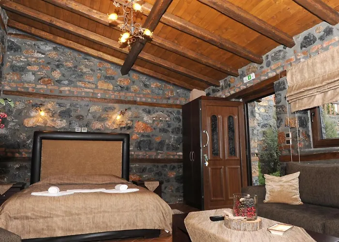 Konukevi Petrogonima